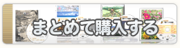 まとめて購入する